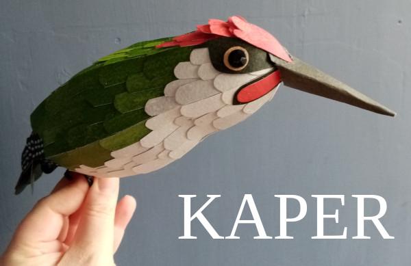 Kaper