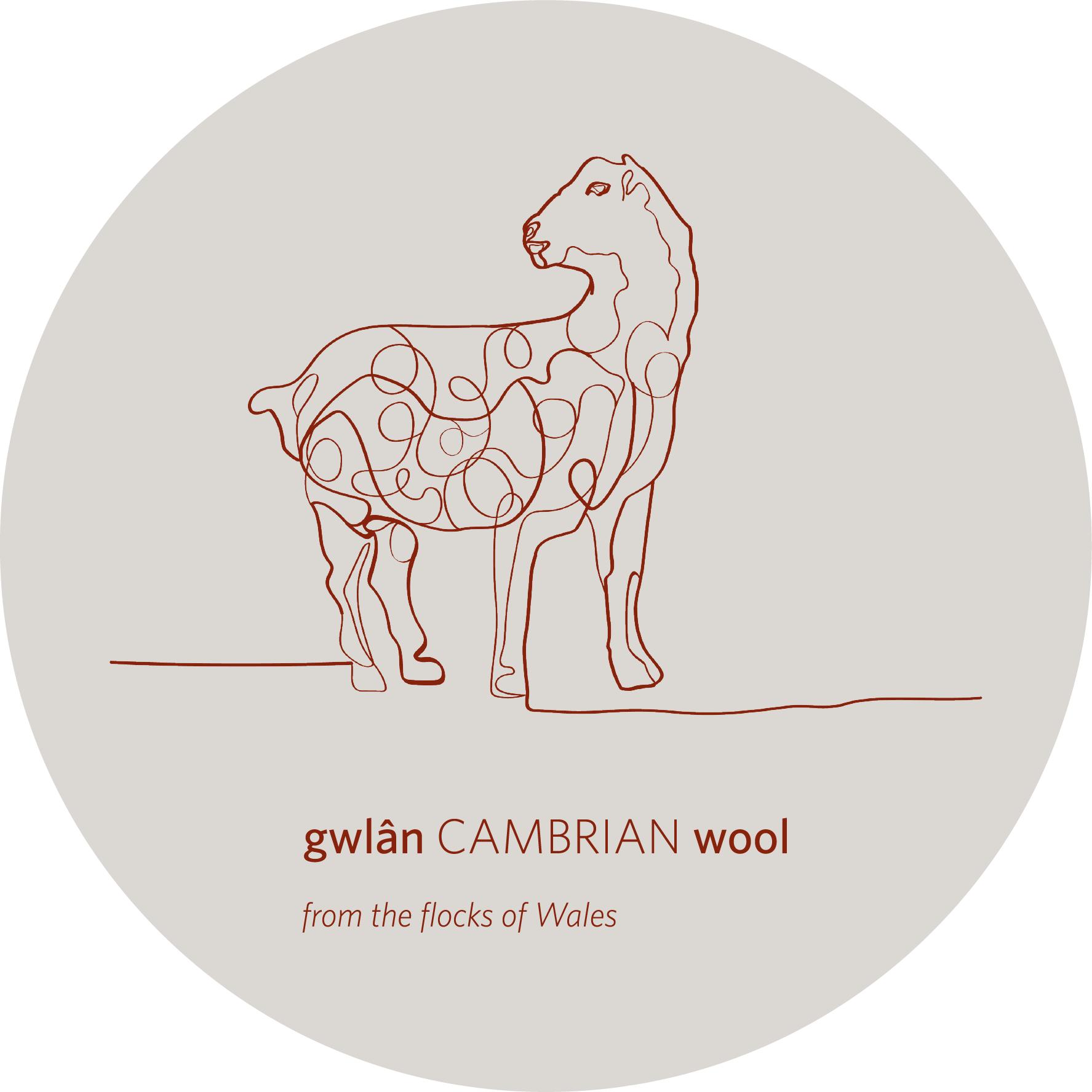 Cambrian Wool & Make it in Wales